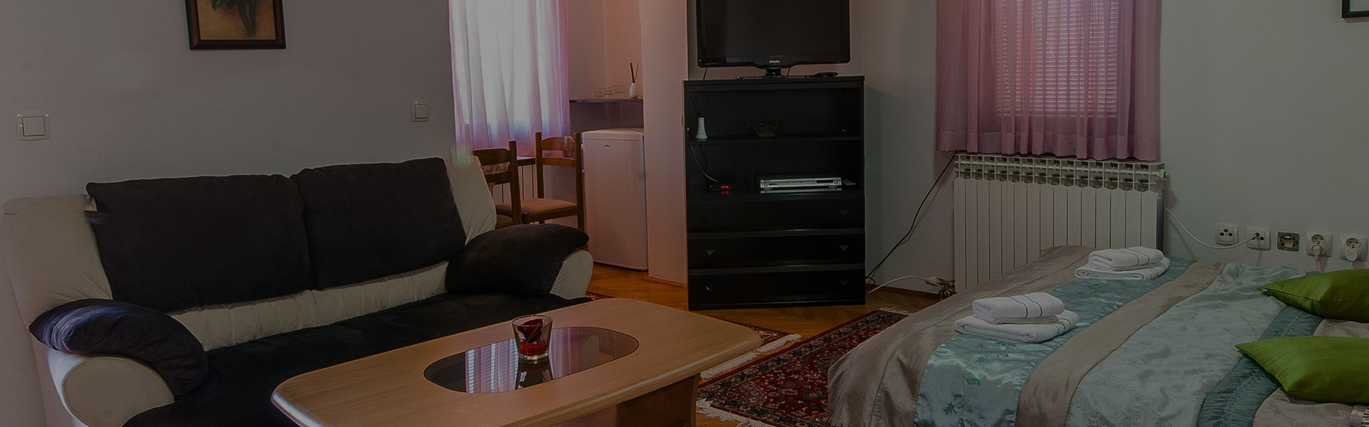 Apartman Kira, dnevni boravak sa bračnim krevetom, kablovska TV, besplatan wi-fi