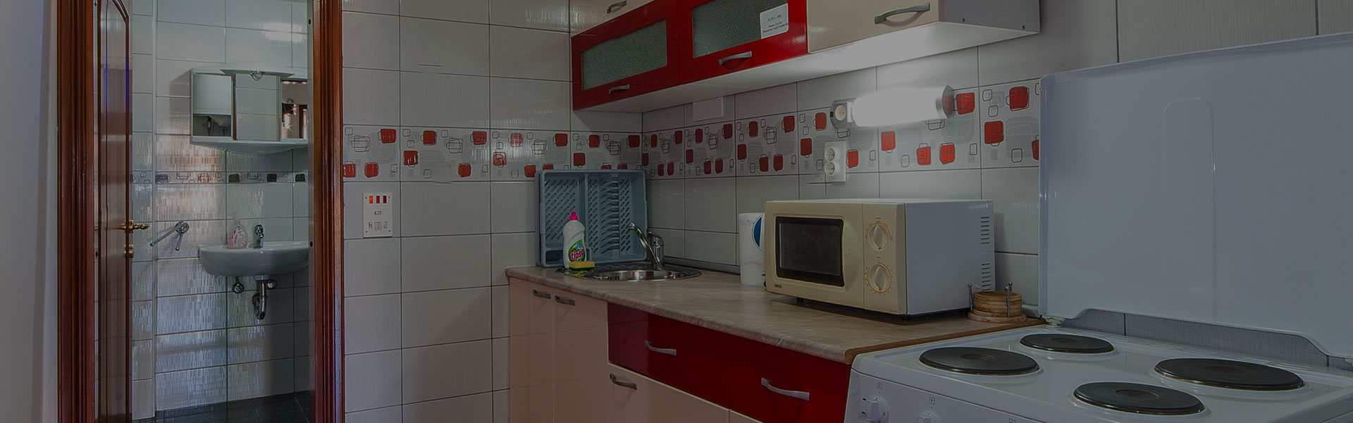 Apartman Kira, opremljena kuhinja, štednjak, frižider, mikrovalna pećnica
